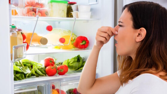    Названы 6 ошибок в хранении, из-за которых продукты портятся быстрее Алина Городниченко