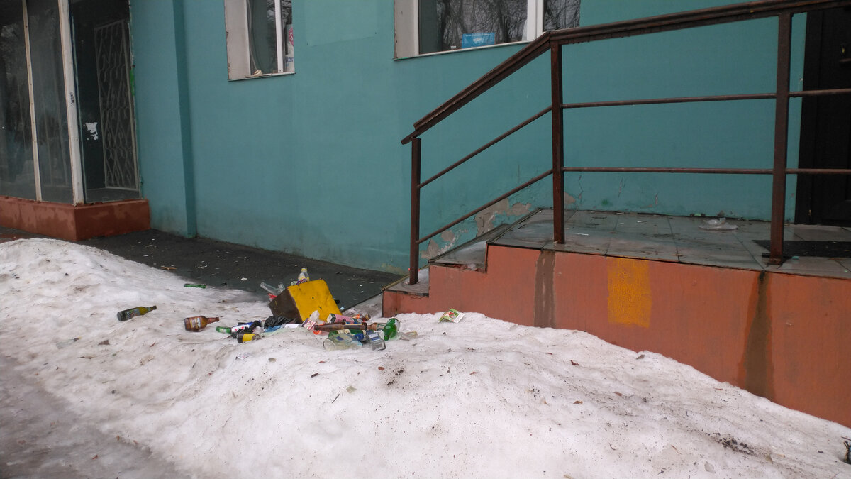 Все покрывалось снегом, оттаивало, замерзало вновь