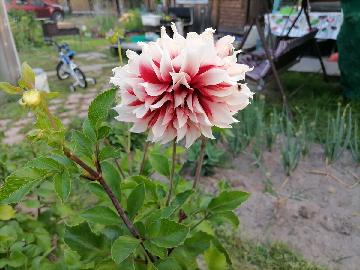 Фото автора 