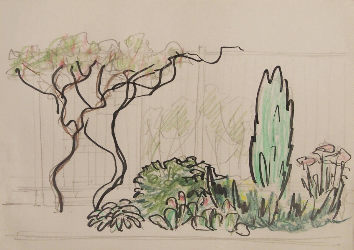 Эскиз объемов миксбордера