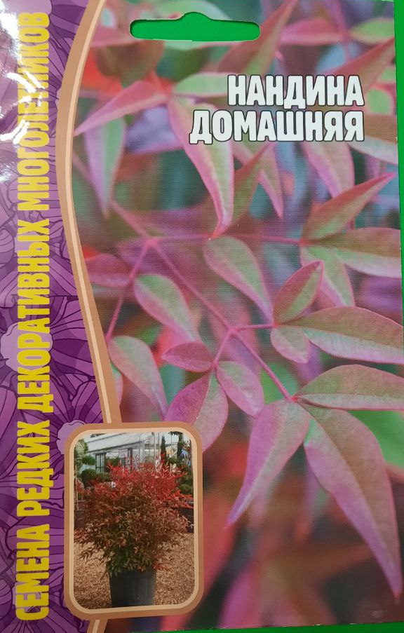 Нандина домашняя семена