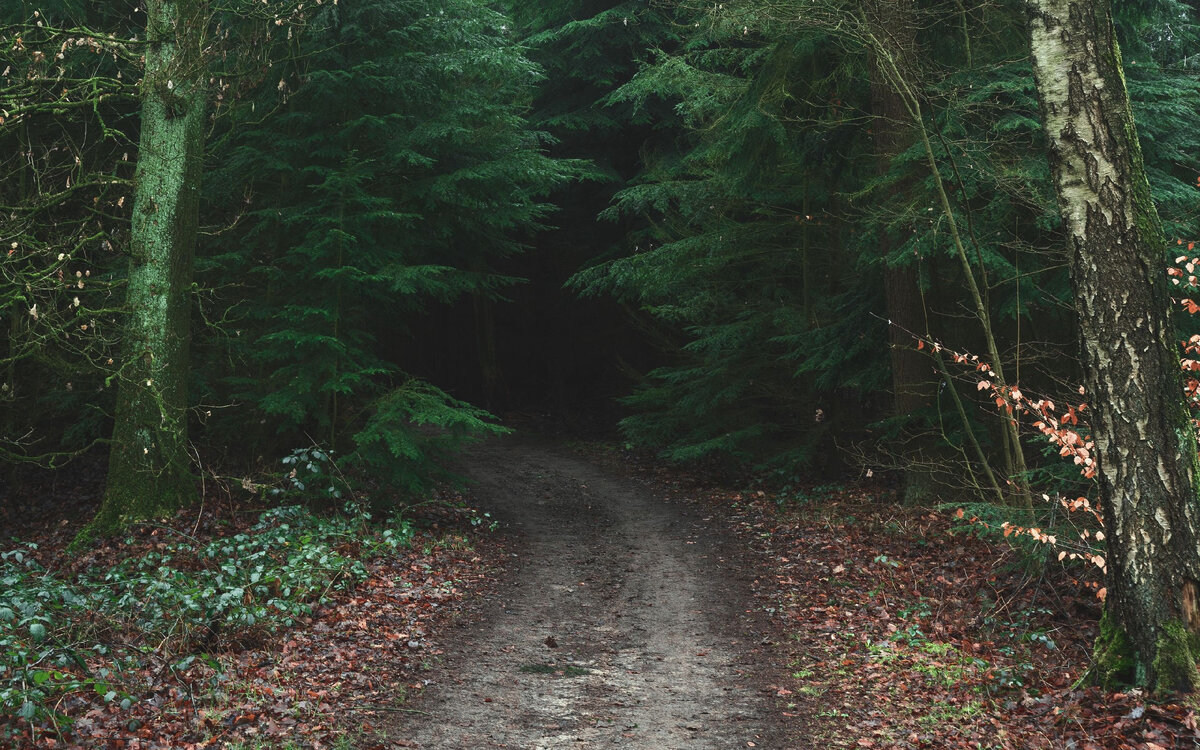 Изменение сайт картинки https://goo.su/HfV64Qg Дорога в никуда