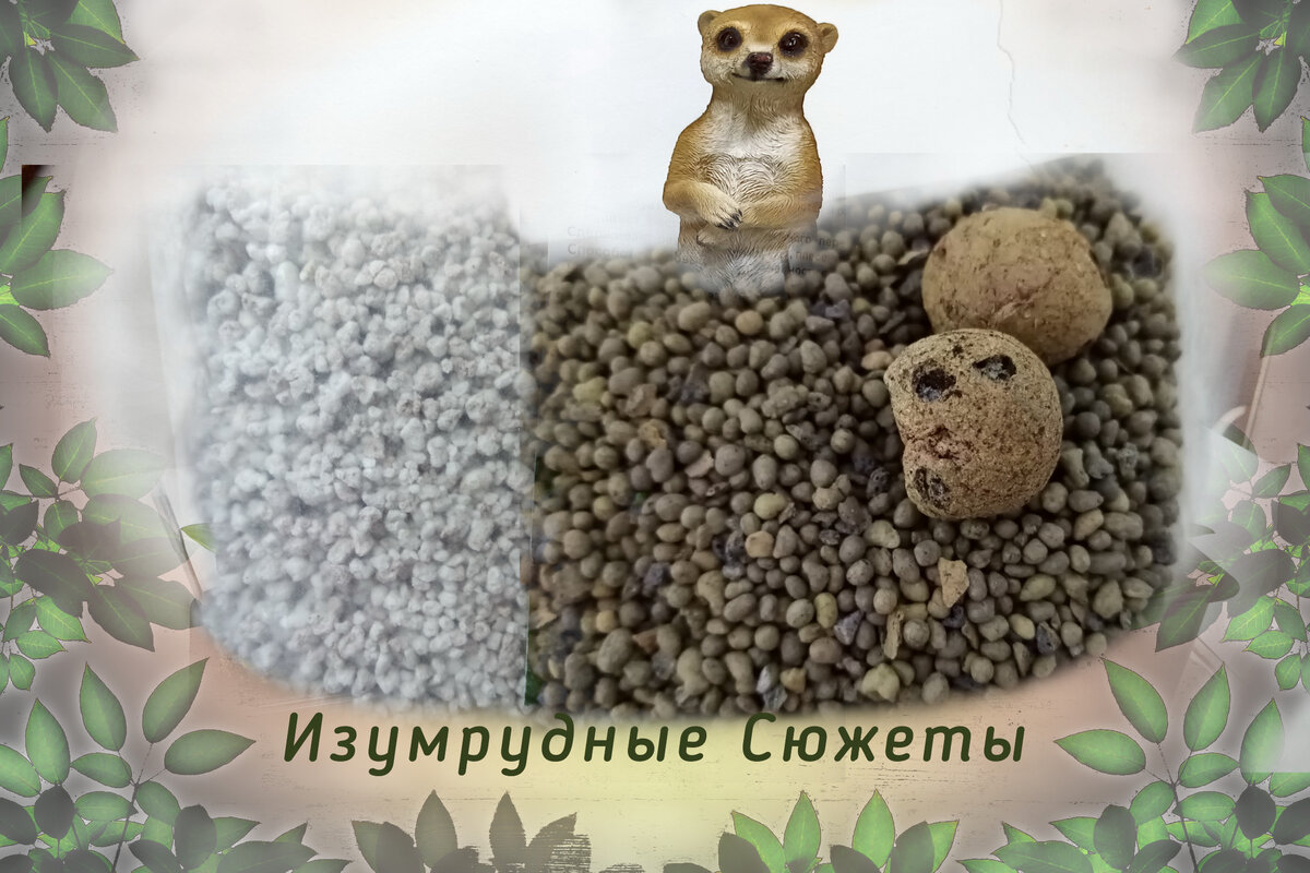 Обложка статьи