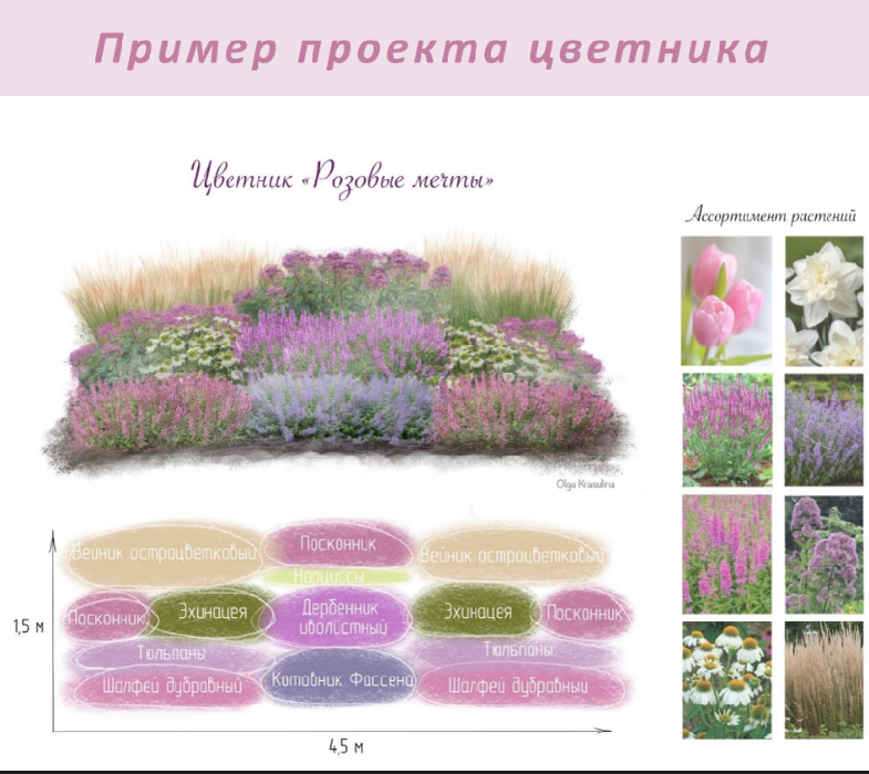 Красулина ландшафтный дизайн ольга фото