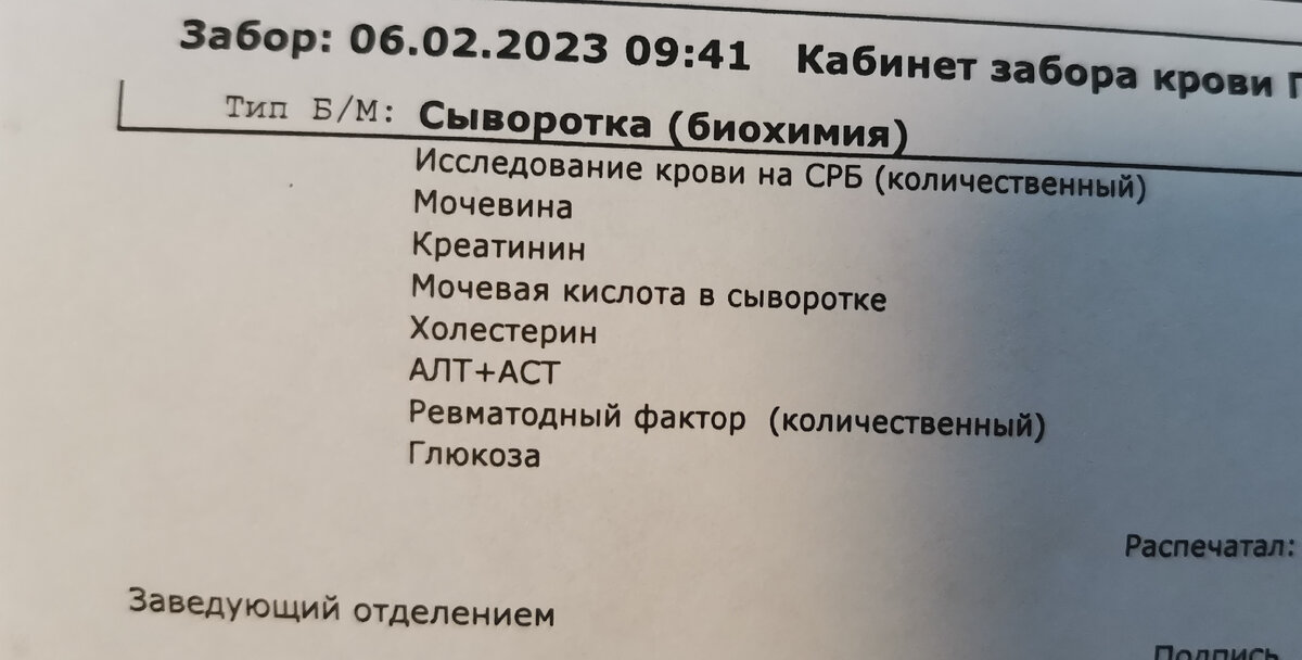 Моё направление 