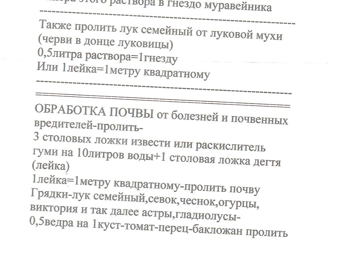 Деготь березовый: применение в саду и от чего лучше воздержаться |  Валентина Ласкина и ласковый сад | Дзен