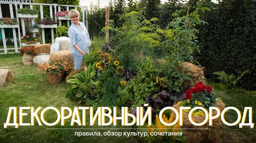 Декоративный огород. Что учесть при подборе культур