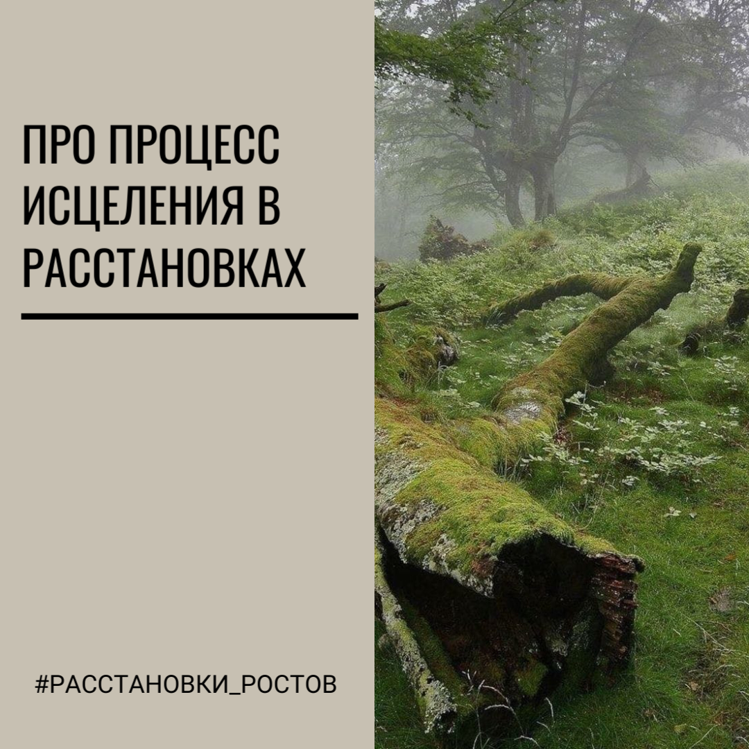 В цели расстановки не входит выявить все проблемы человека, его семьи или организации