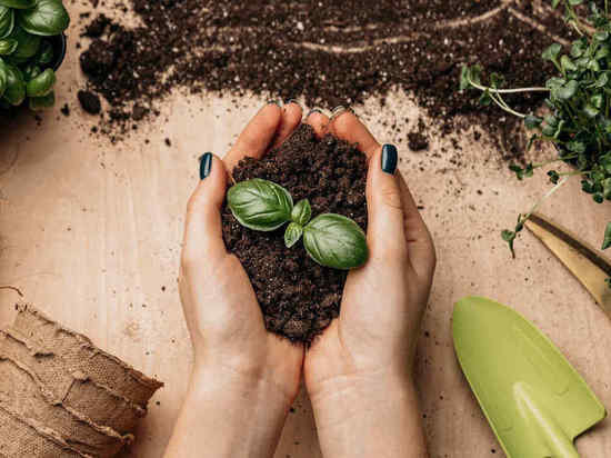     Фото: ru.freepik.com