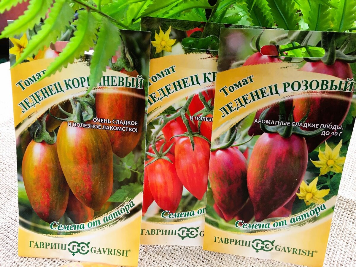 Томаты леденец описание сорта. Семена томатов леденец. томат вкусняшка. томат леденец коричневый. семена томатов леденец коричневый.