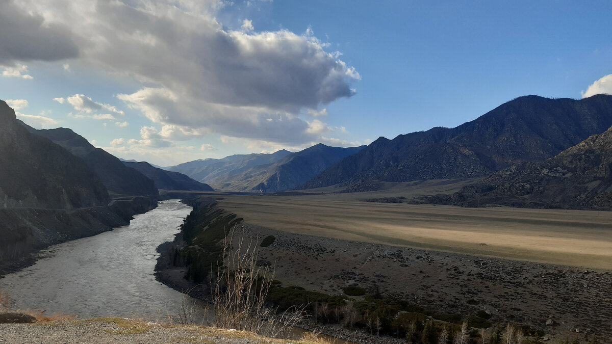 Катунские террасы весной