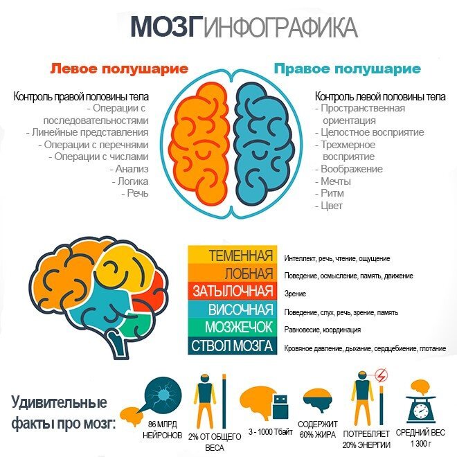 15 народных средств для улучшения памяти