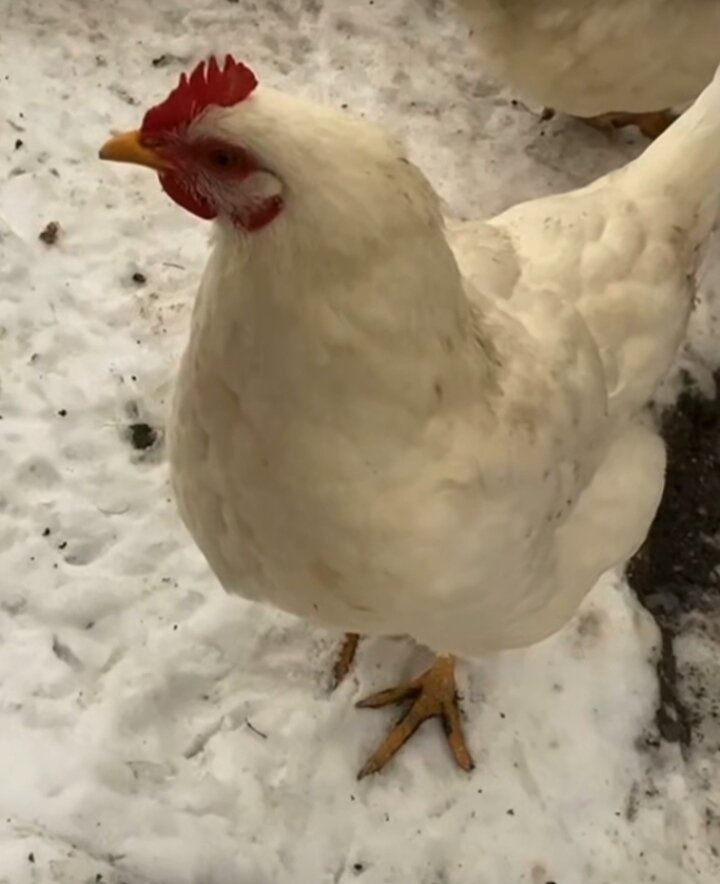 -2
