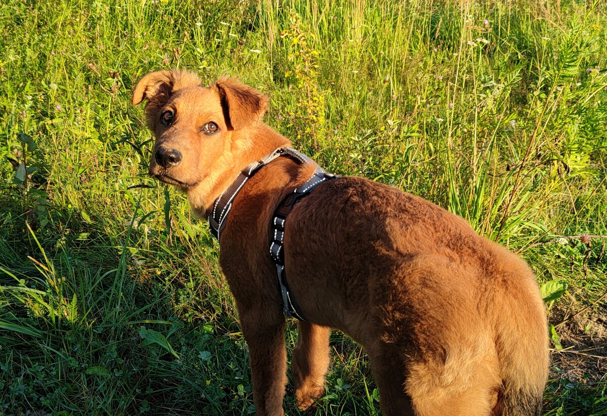 моне 4 месяца