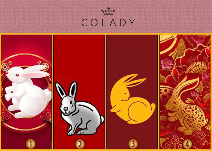   Иллюстрация Colady от Кирилла Даниленко Антонина Салашник