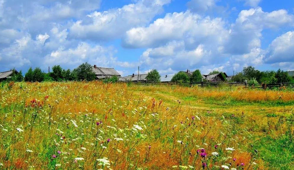 Яндекс картинки