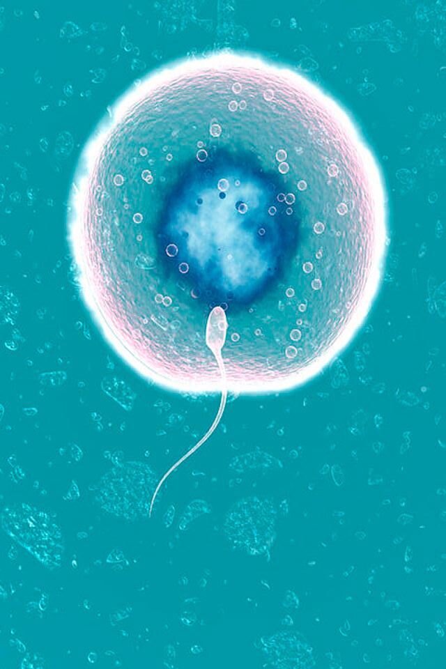 Красивая картинка.