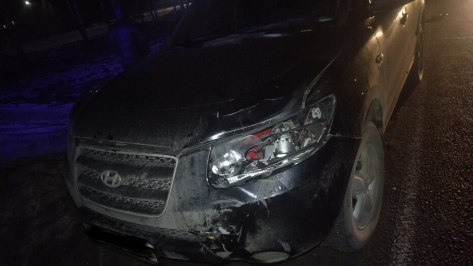    Автор фото: пресс-служба ГУ МВД по Воронежской области