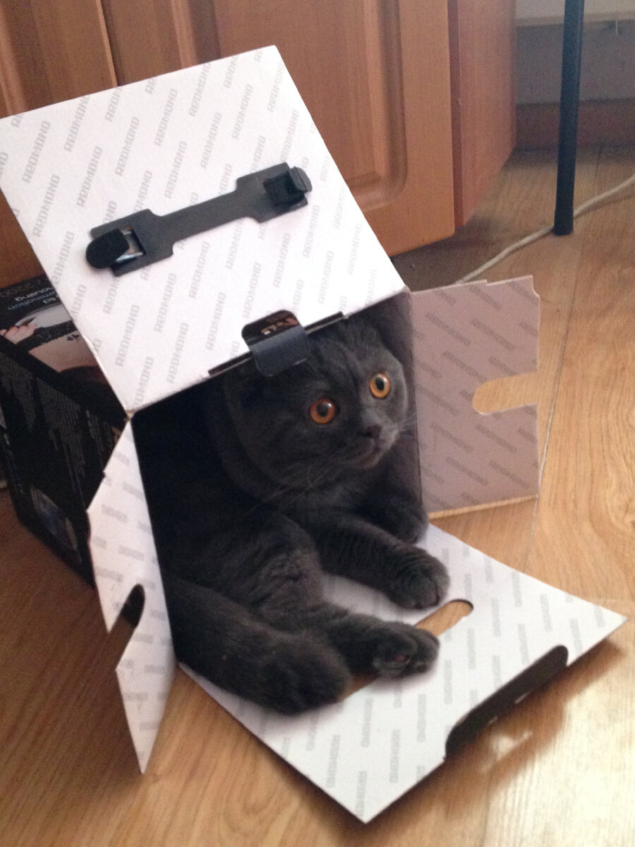 Фото из личного архива Ричарда