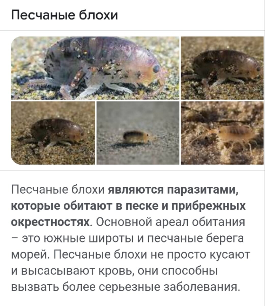 Из интернета 