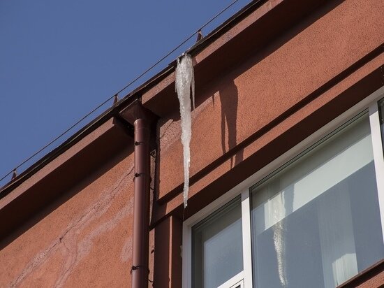     фото густаво зырянова/мк в новосибирске