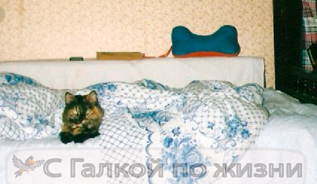 фото из личного архива автора