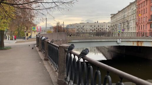 Санкт-Петербург. Прогулка по улице Всеволода Вишневского