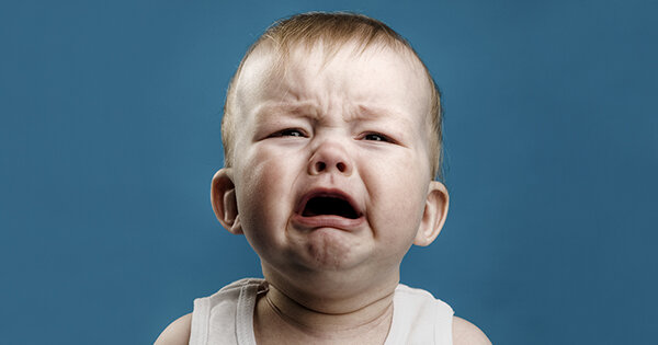 Взято из интернета 