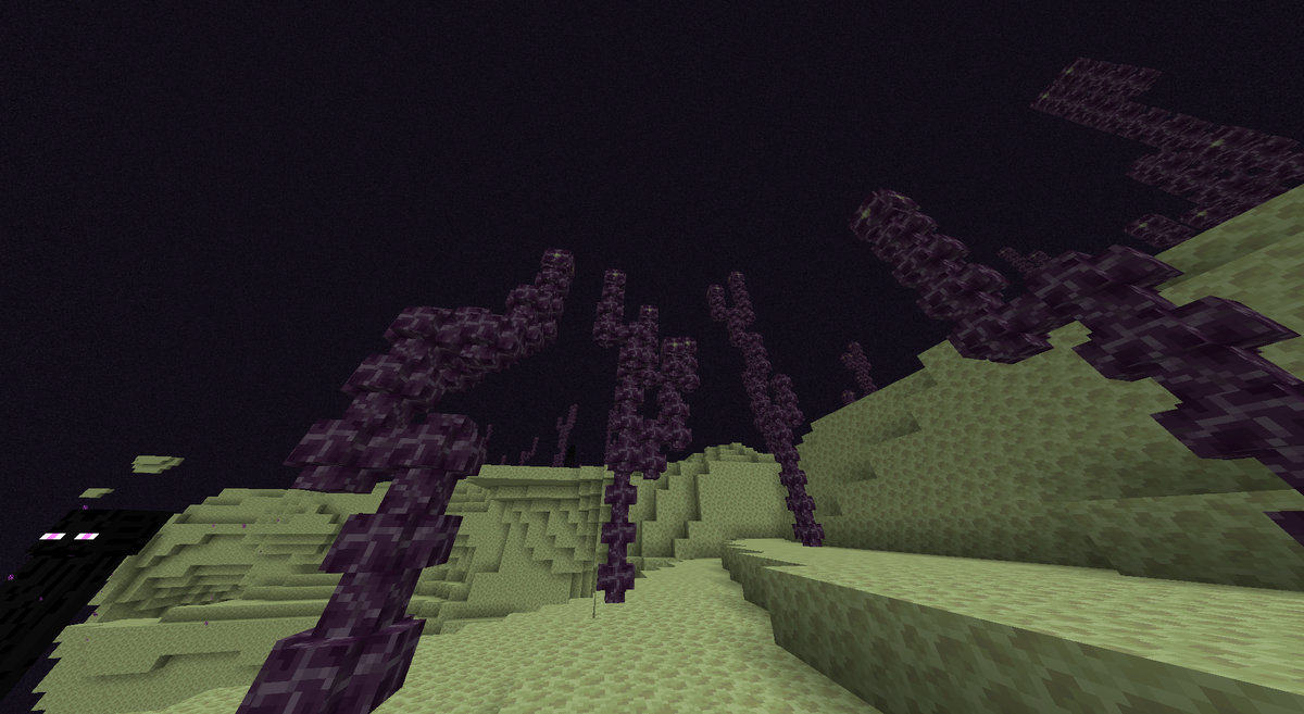 у меня пока что нет элитр - и задача этой вылазки в исправлении положения; заодно я решил взять карту, ведь на сервере больше нет гениев, прорисовывающих голые земли да пустоту; я буду водить экскурсии в комнату с картой (как только найду элитры, мне она вообще не будет нужна)