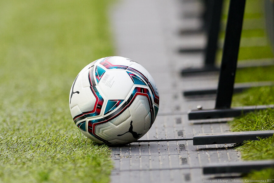 Фото: Виталий Невар / Новый Калининград