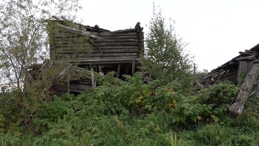 Сплав по северным рекам ч3. Вымирающая, почти заброшенная деревня Савинобор. Река Печора. Один в глухой тайге. Спецпоселок Ичет-ди. Север