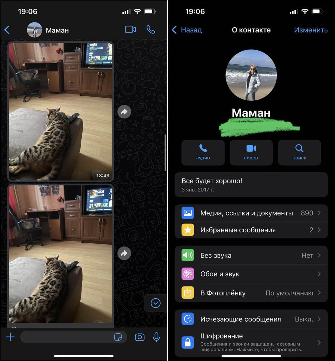    Позвонить в Ватсапе очень просто