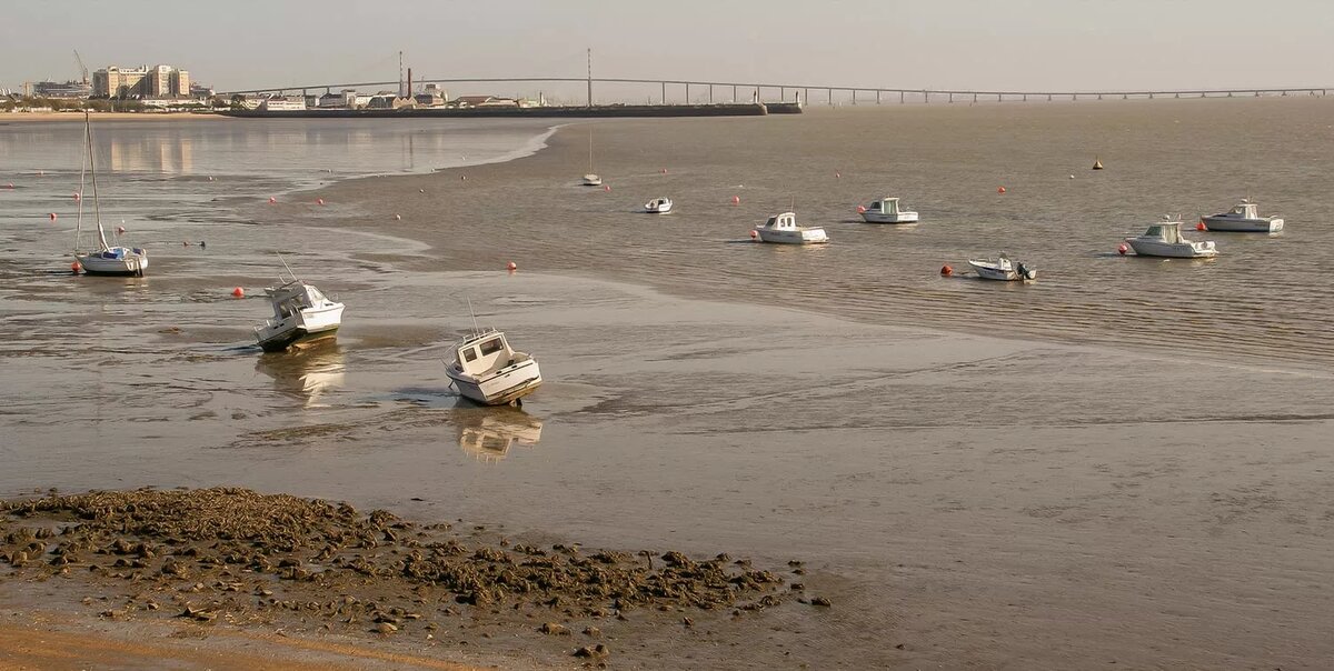 Источник: https://www.photoforum.ru/f/photo/000/870/870440_11.jpg