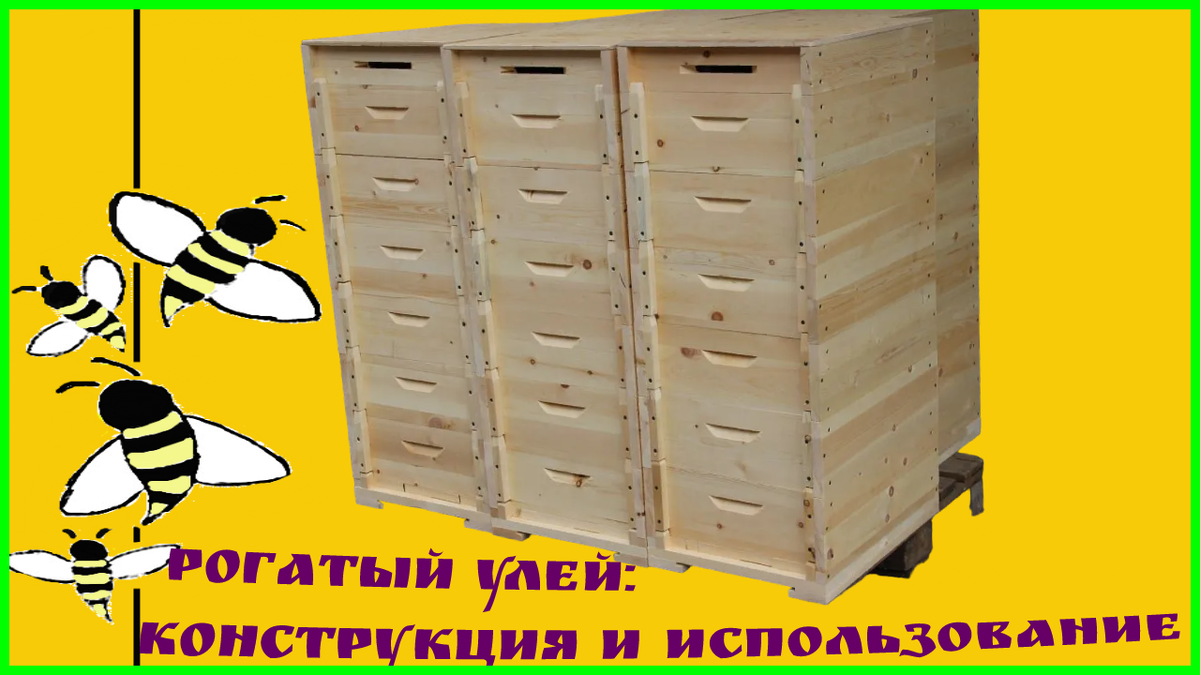 Рогатый улей: конструкция и использование