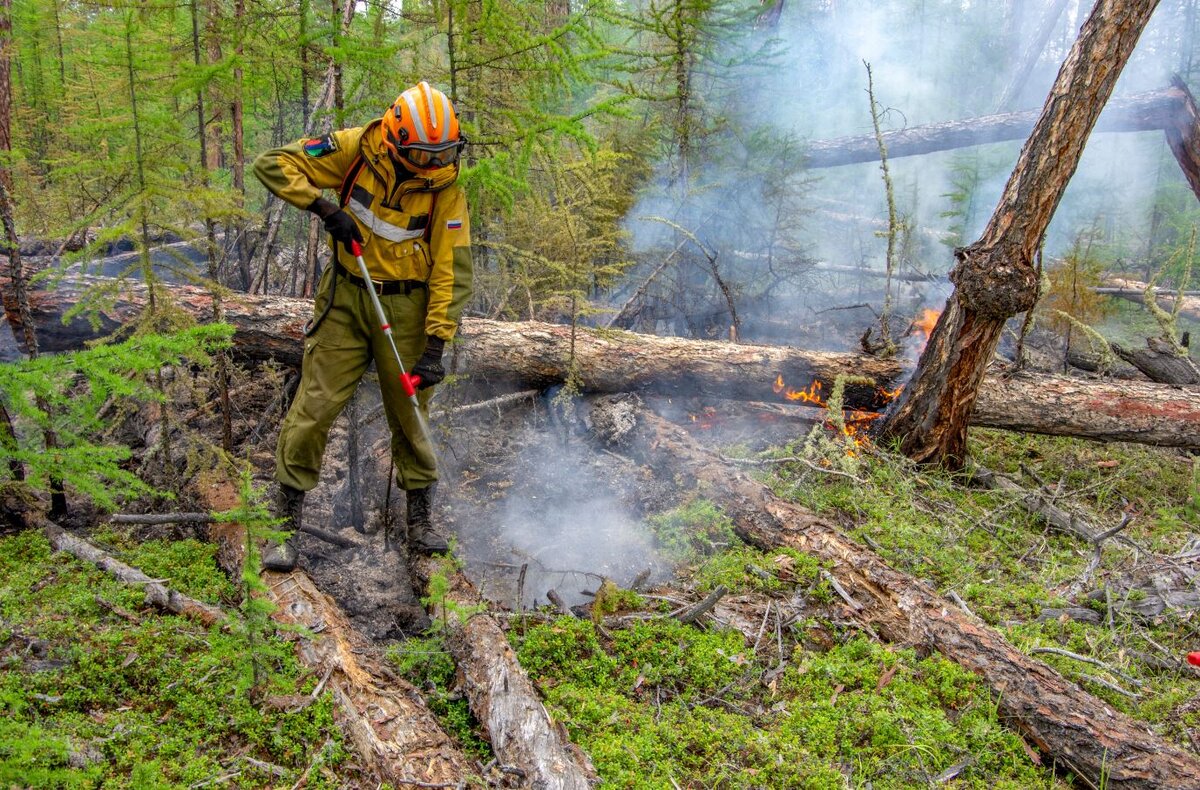    Владимир Якушев призвал регионы УрФО своевременно реагировать на пожары