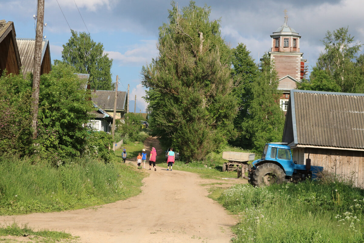 Тверская область. Деревня Дербужье. Фото: Art&Culture Яндекс.Дзен