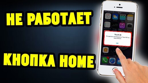 iPhone 5s не работает работает тачскрин, сенсор. Диагностика и ремонт