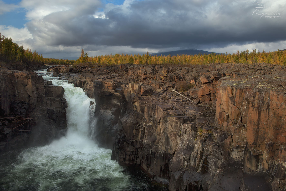 Плато Путорана лес вода