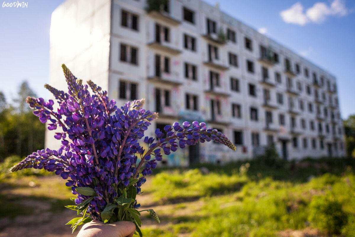 Адуляр - самый мрачный город-призрак Московской области и дерзкая  фотосессия для Светы (фото и видео) | Фотограф Гудвин | Дзен