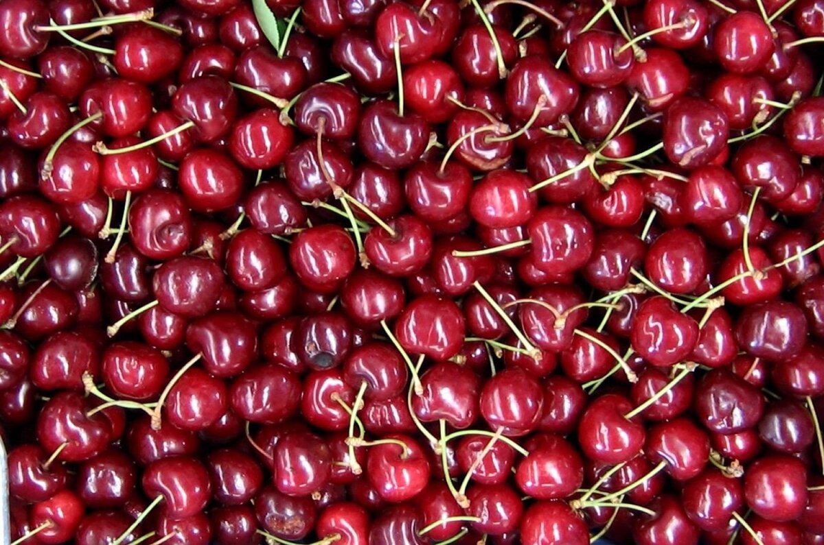 вот так хотелось