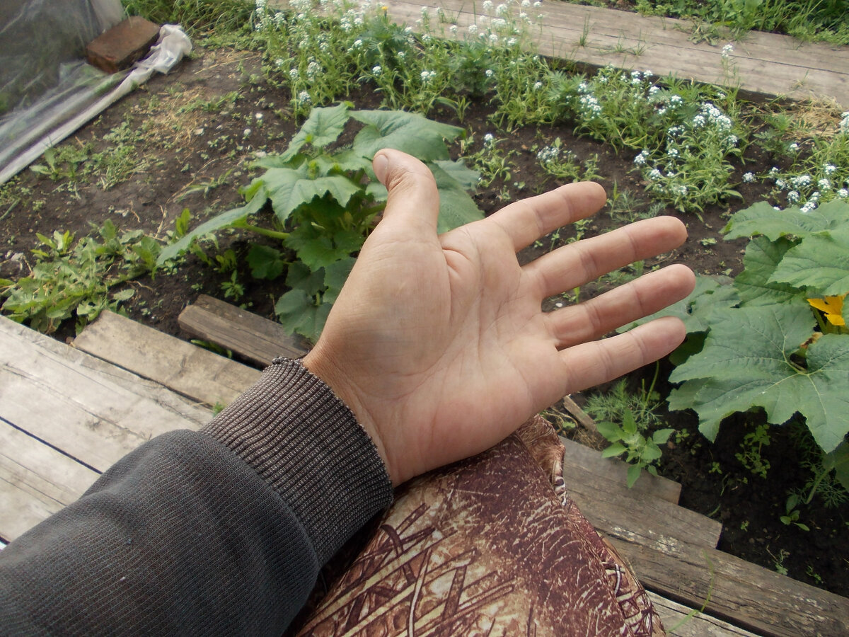 1.Исходная позиция.