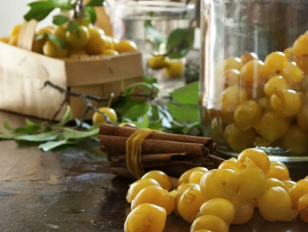 фото: iStock от Getty Images