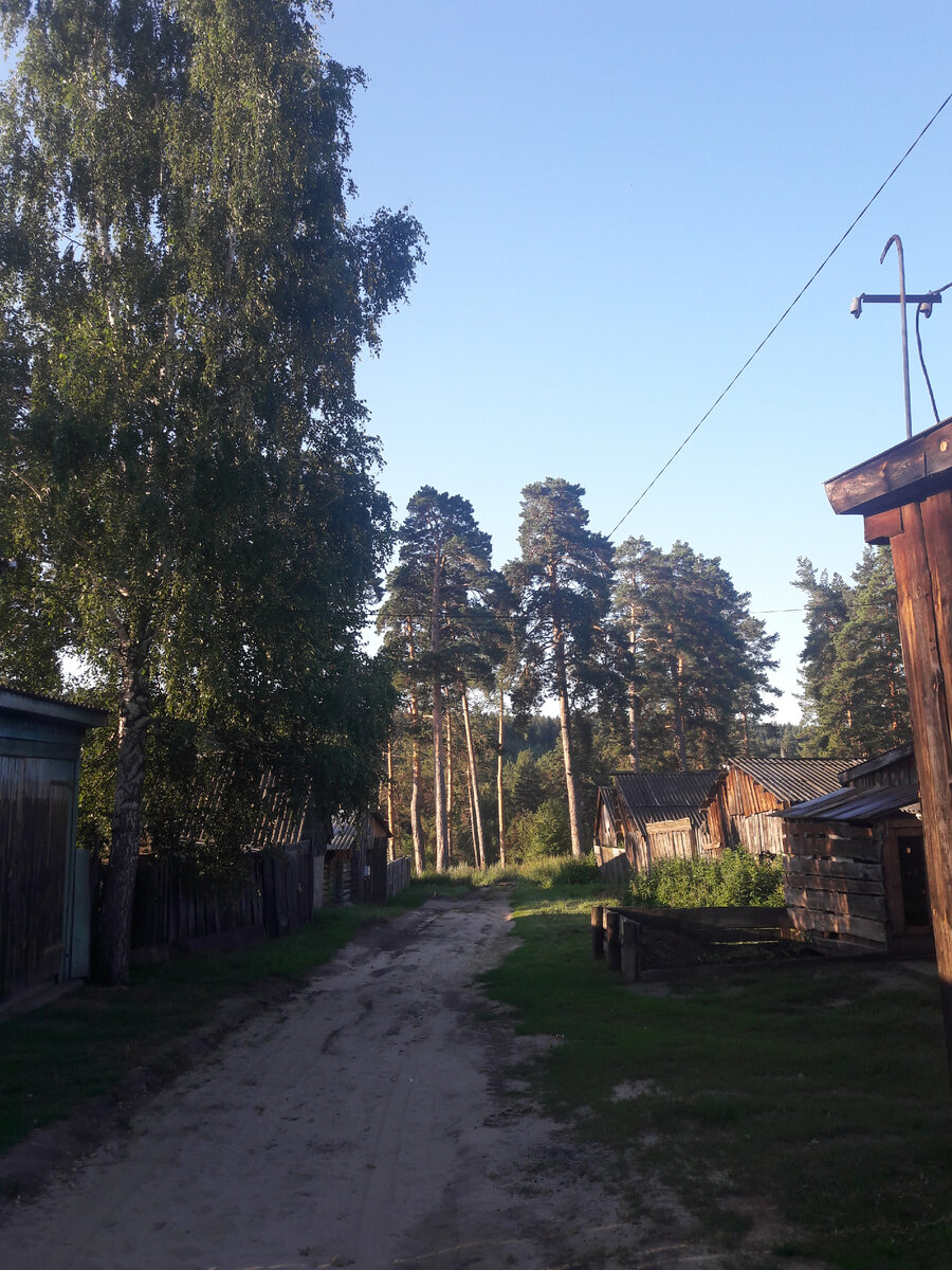 Поселок окружен лесом. Фото автора.