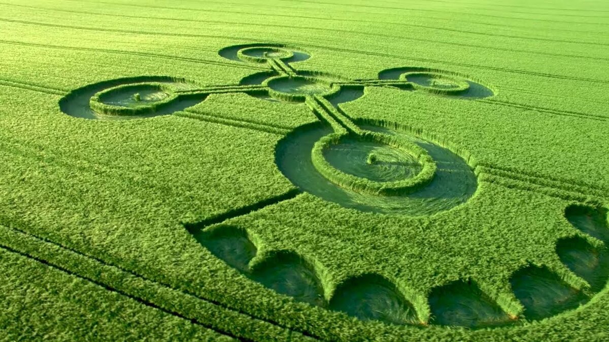 круги на кукурузных полях. круги на полях чилболтон 2002. ответы кругами на полях. появление кругов на полях. знаки на полях краснодарский край.
