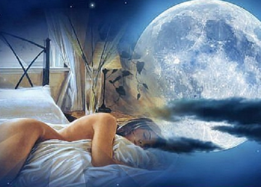 Фото: из открытых источников