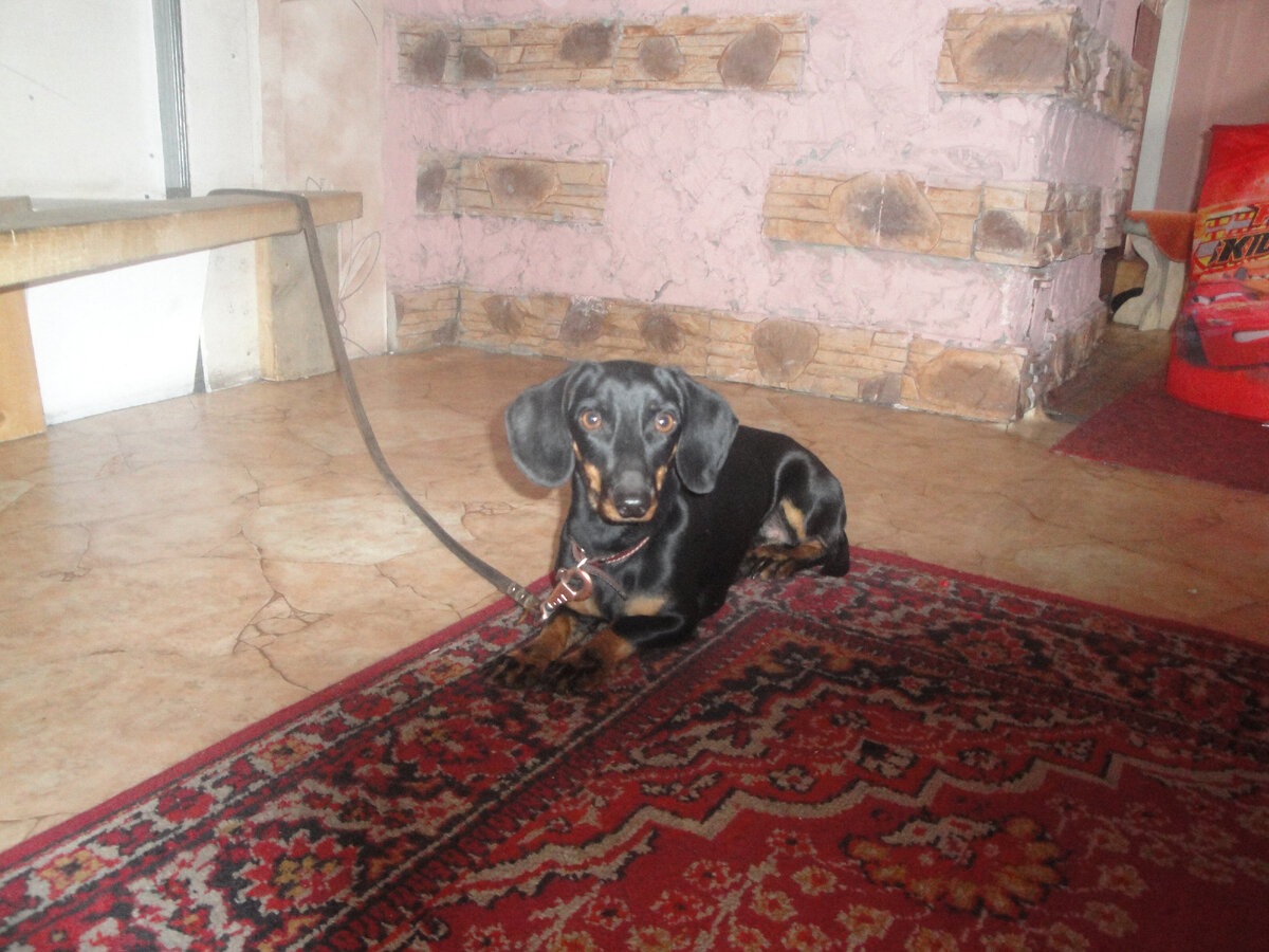 Еще стройная и красивая! Фото из личного архива