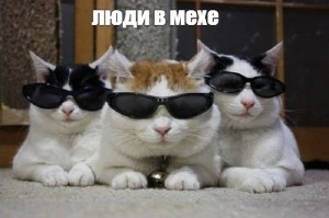 В меху:)