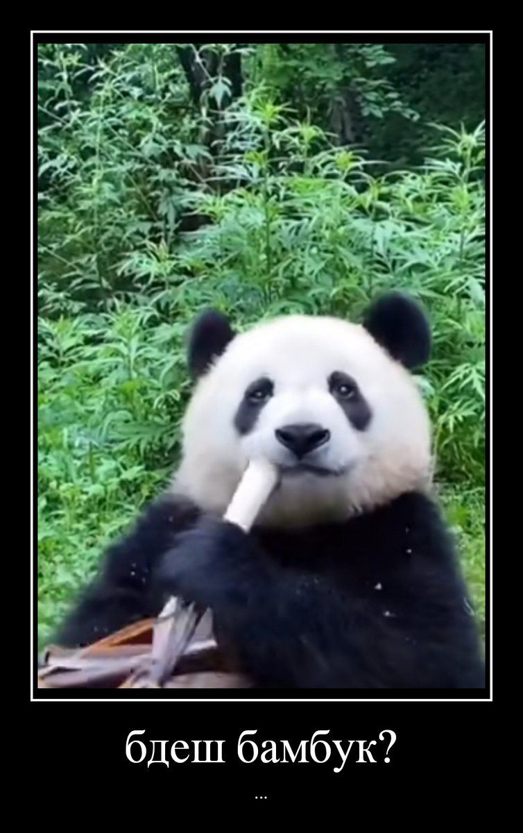 Будешь бамбук?