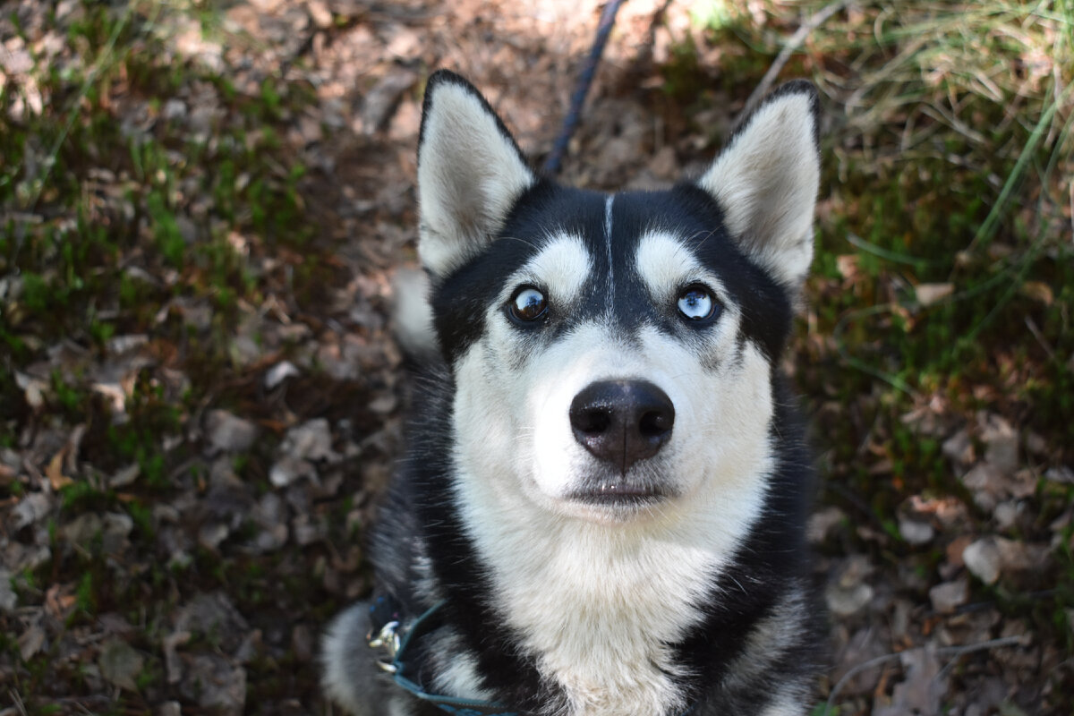Фаренгейт - просто оставили парня возле магазина и ушли. Сказали, скоро вернуться.