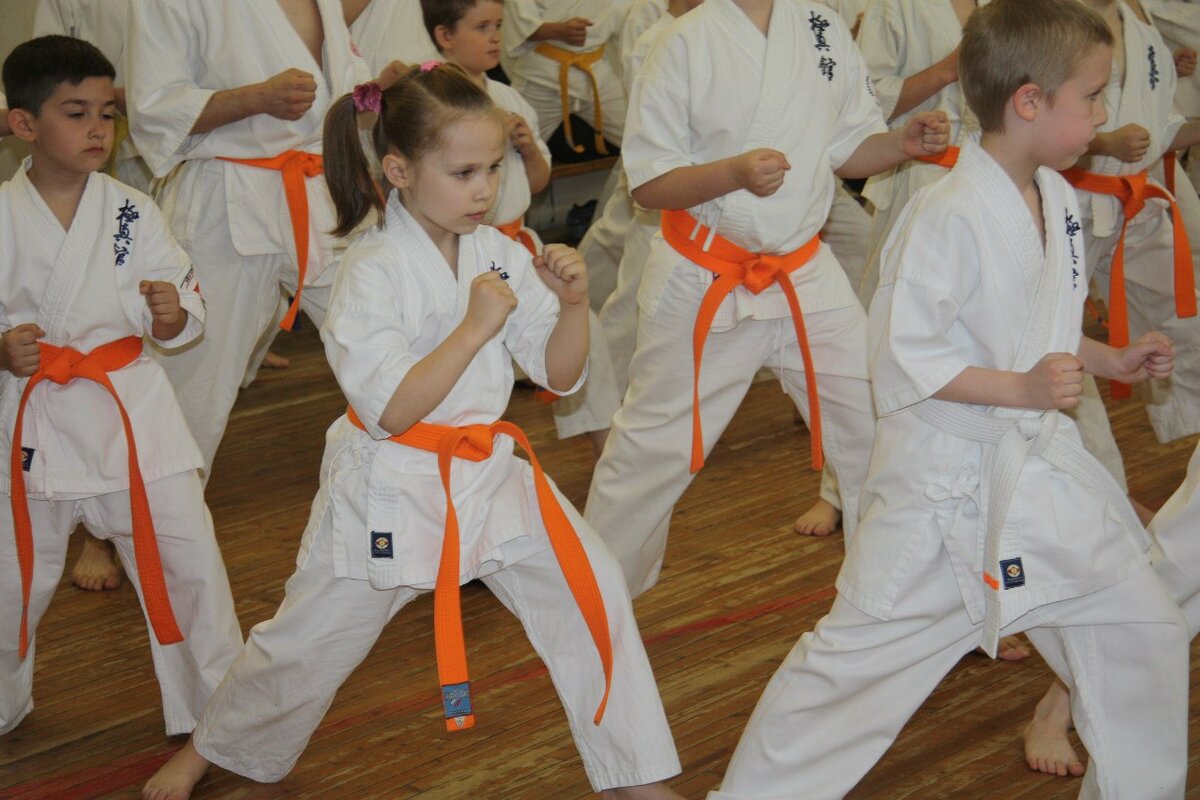 Кекусинкан, экзамен на пояса